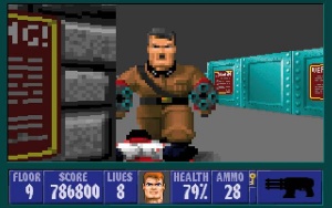 Danes se nam zdi prav neverjetno, kako je streljanka Wolfenstein 3D pred več kot dvajsetimi leti obnorela svet. Pong in druge preproste igre pa nas vedno znova opomnijo, da je sama igralnost pogosto pomembnejša od odlične grafične podobe.